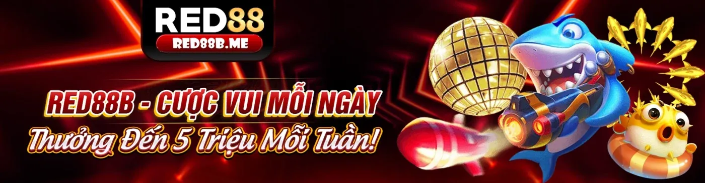 Hình ảnh chính blog 789vg chính thức với tin tức và cập nhật cá cược trực tuyến 2026